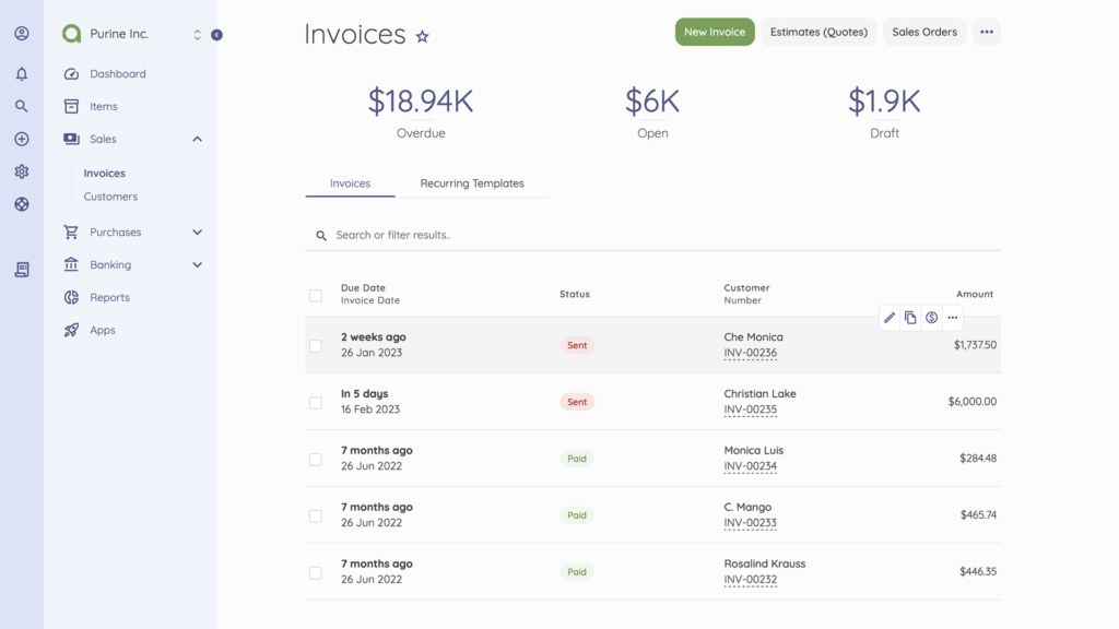 Editing your invoices